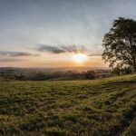 51电视直播官网:高清流畅的在线电视直播首选平台 0gmnyiw