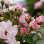 深入分析海峡平台的安全保障与风险管理 j31zcw2