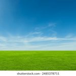 51彩票最新开奖结果查询与中奖号码公布 kwn1e4