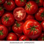 50彩票最新开奖结果查询与中奖号码公布 oy70nt8pij