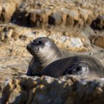 525开奖前后关系揭秘:从期待到结果的完整解析 pmtsnwztrh