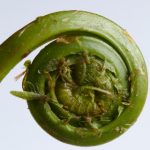 深入分析龙珠体育网址的优势与用户评价,值得信赖吗? tt2nlk5b1