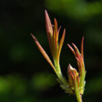 JTBC电视台最新热门节目高清直播全程放送 edog8g8bm